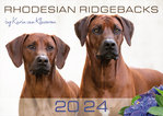 Rhodesian Ridgebacks 2024 by KvK